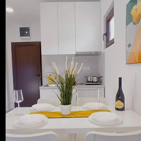 Cokic Apartment