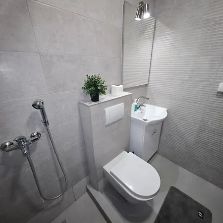 Cokic Apartment Soko Banja