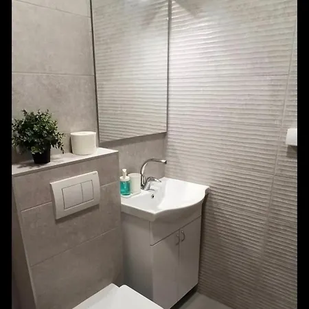 Cokic Apartment