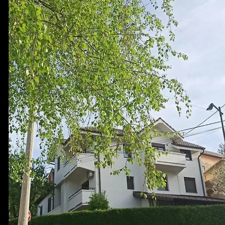 Cokic Apartment *