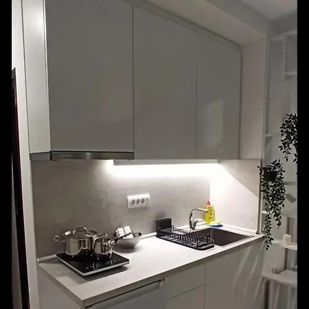 Apartment Cokic Soko Banja