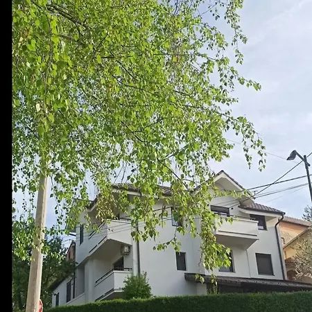 Apartment Cokic *