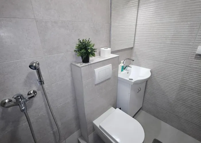 Cokic Apartament Soko Banja