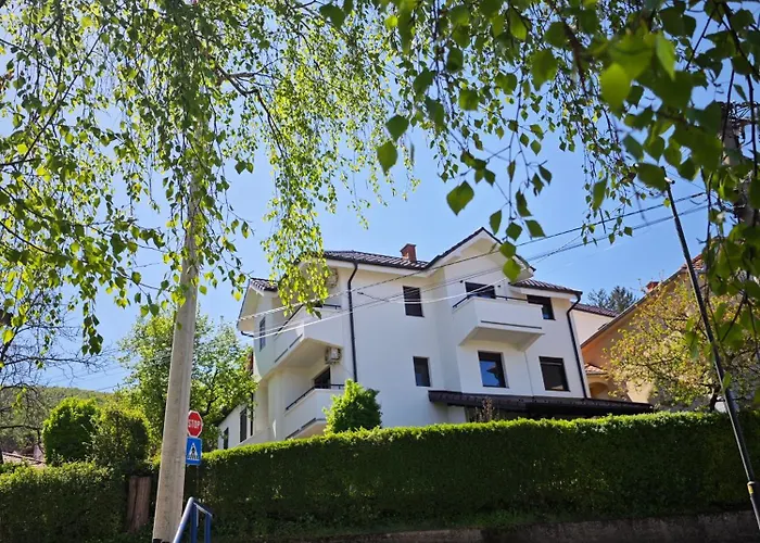 Cokic Apartament Soko Banja